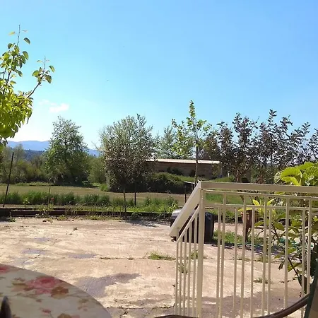 Mallios Near * Ancient Olympia