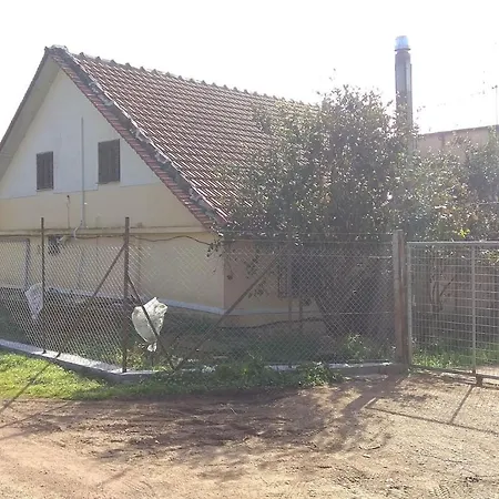 Mallios Near * אולימפיה