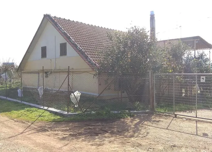 Mallios Near * Ολυμπία